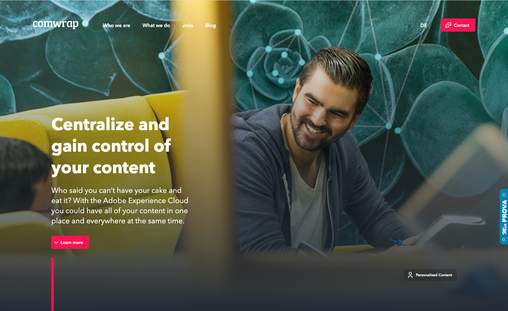 Adobe Experience Cloud Affinity Audience Teaser