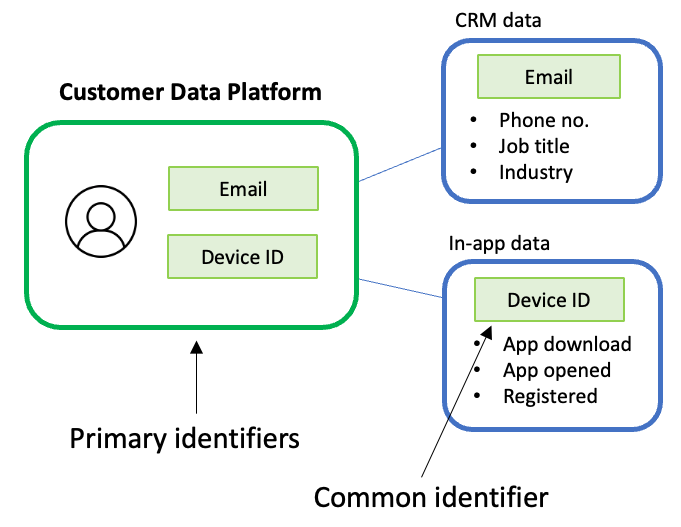 Identifiers in a CDP