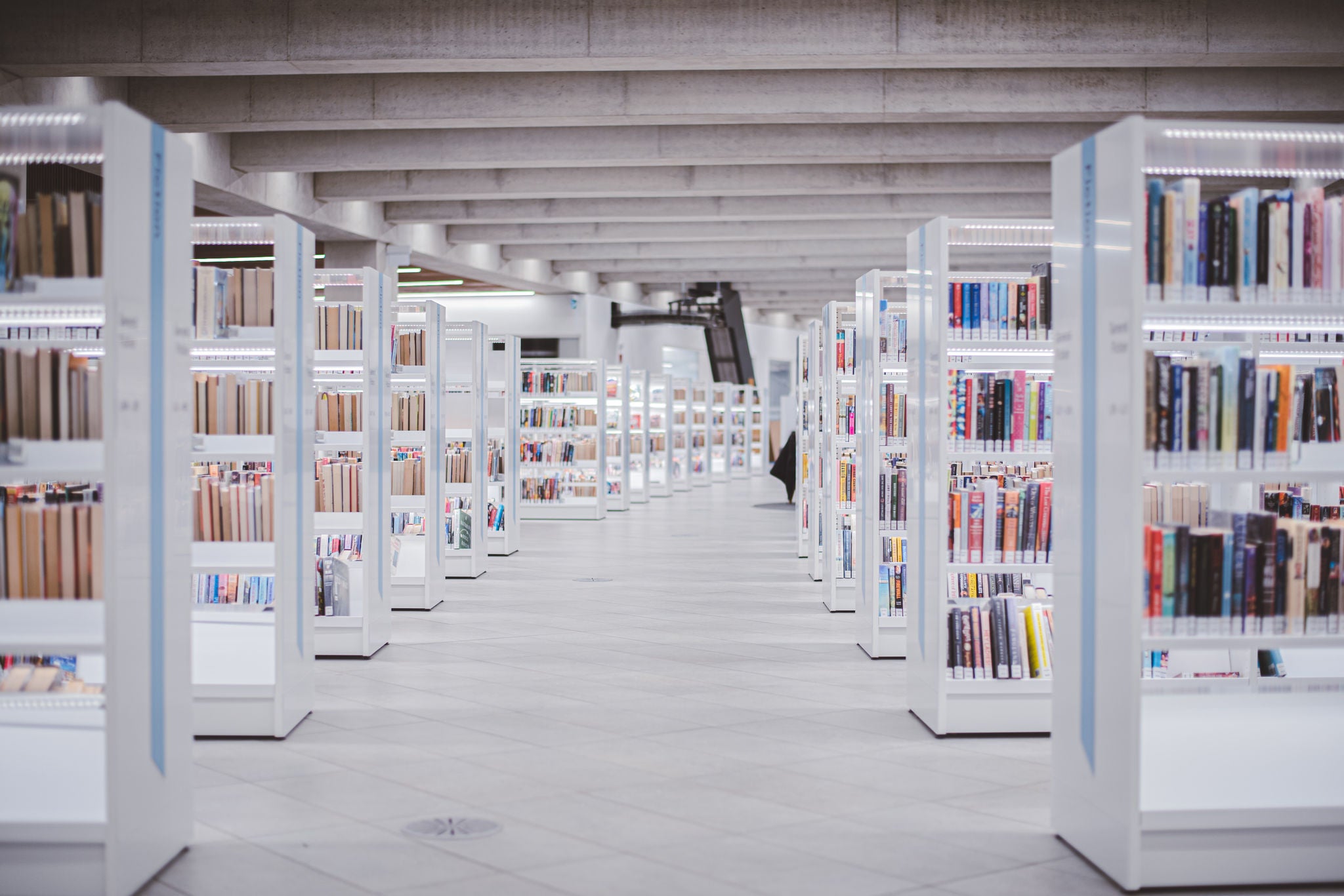 DAM Capabilities Unleashed Building you own Digital Asset Management